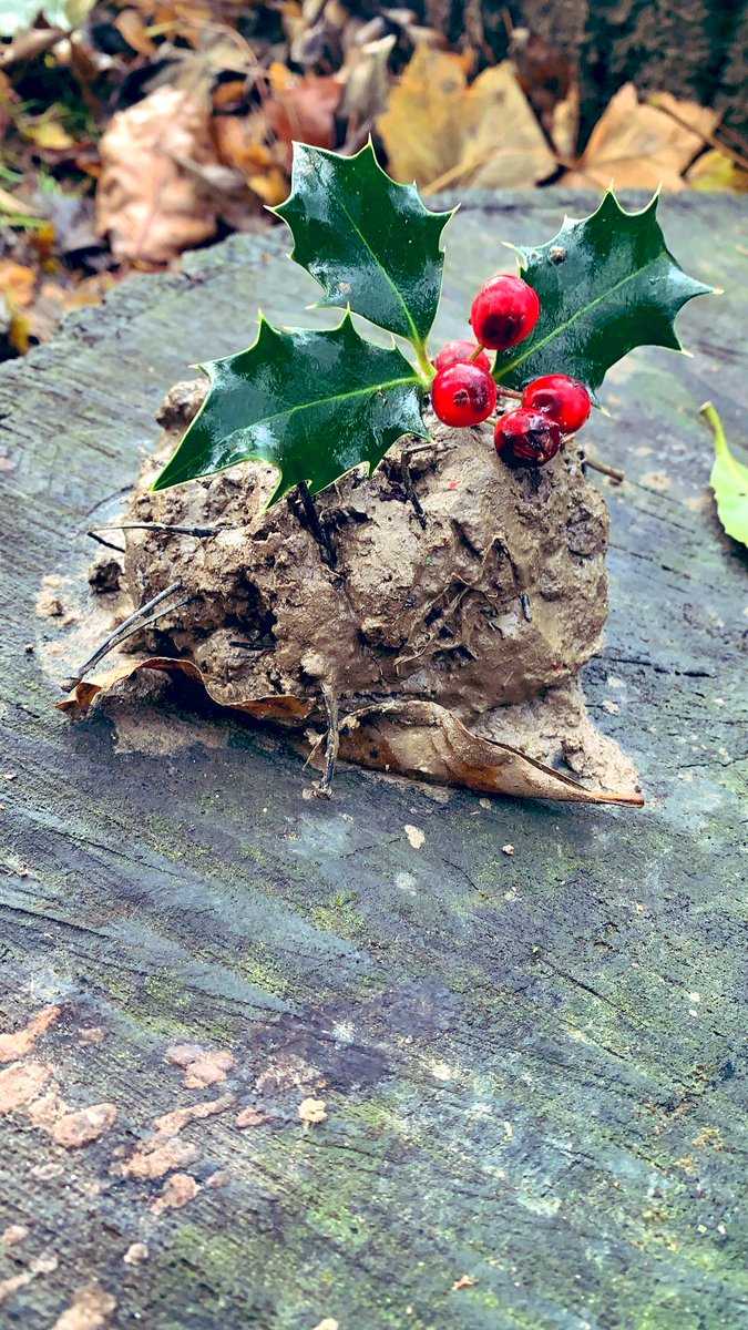 CarrdusRec's tweet photo. Reception had another fantastic forest school session today! We made mud Christmas puddings, decorated pine cones and made the most wonderful wreath to decorate our classroom! @CarrdusSchool https://t.co/9agCFrD8tc