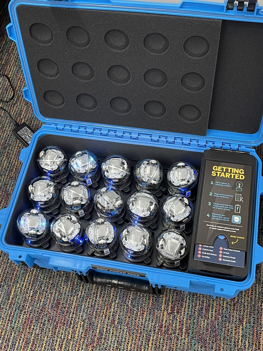 Laura McCue tweet media