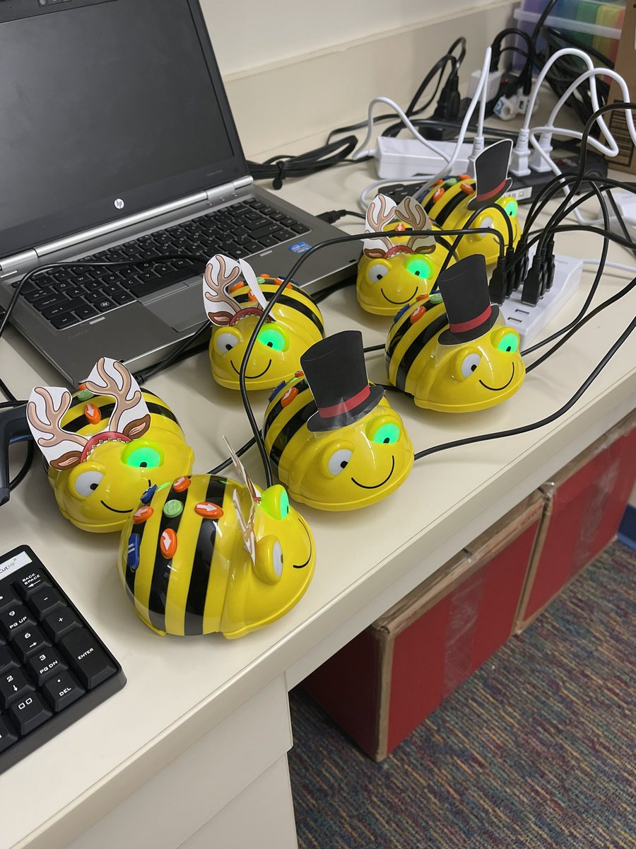 Laura McCue tweet media