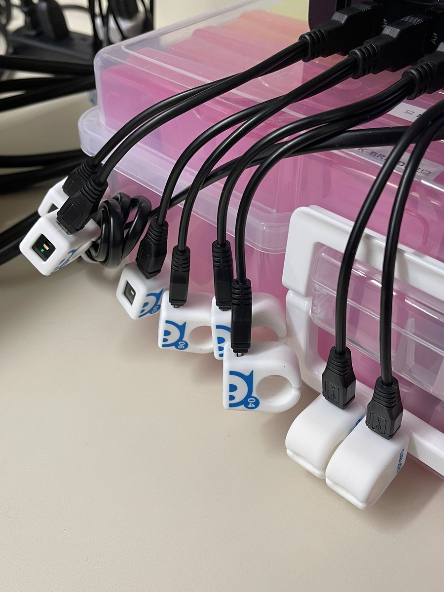 Laura McCue tweet media