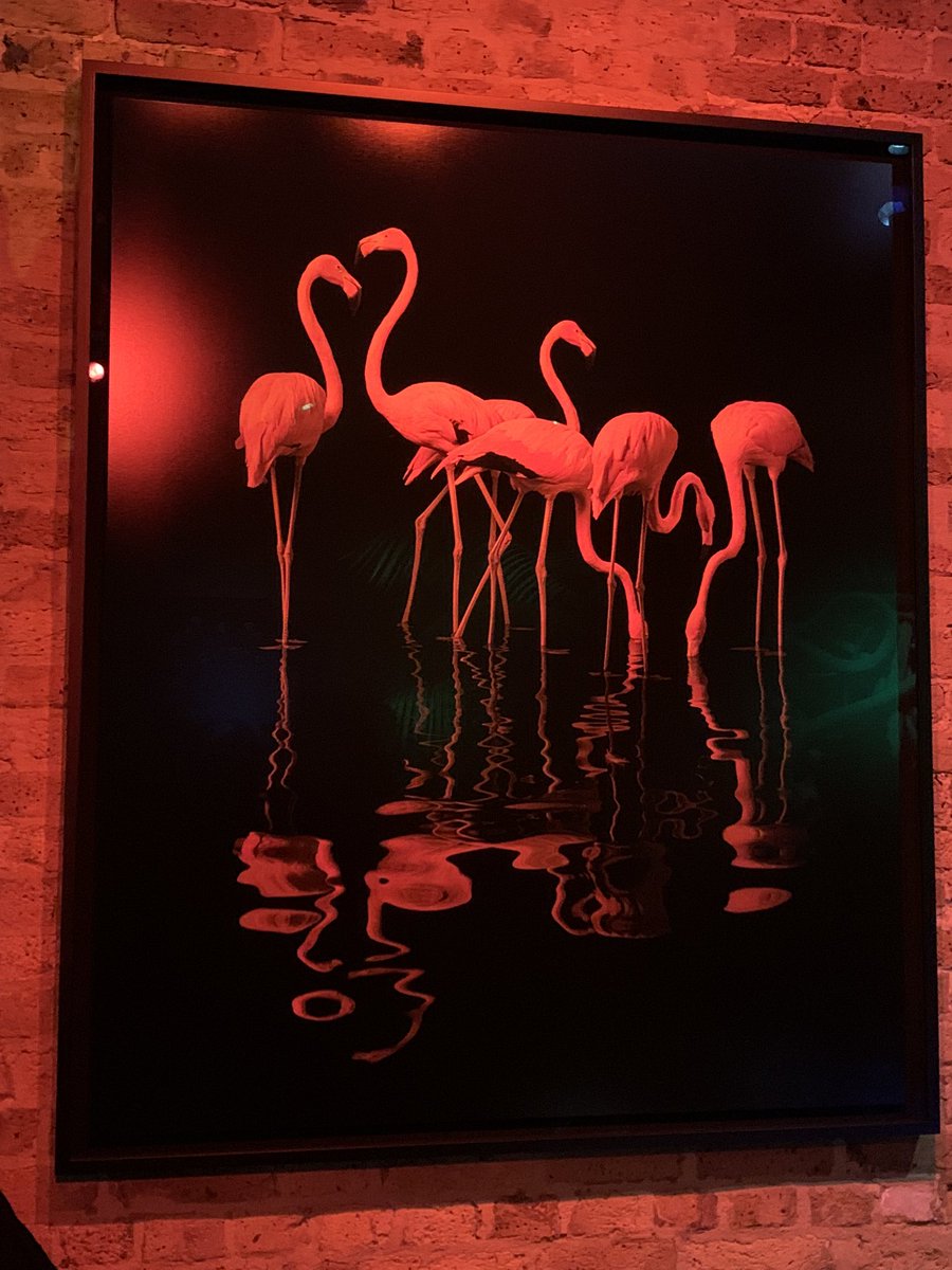 paulinedaniels's tweet photo. Travelled down to my cousins book launch. He’s an amazing photographer. #timflach @TimFlach so proud of him and such fun seeing the family.. https://t.co/GPfB1nWc0q