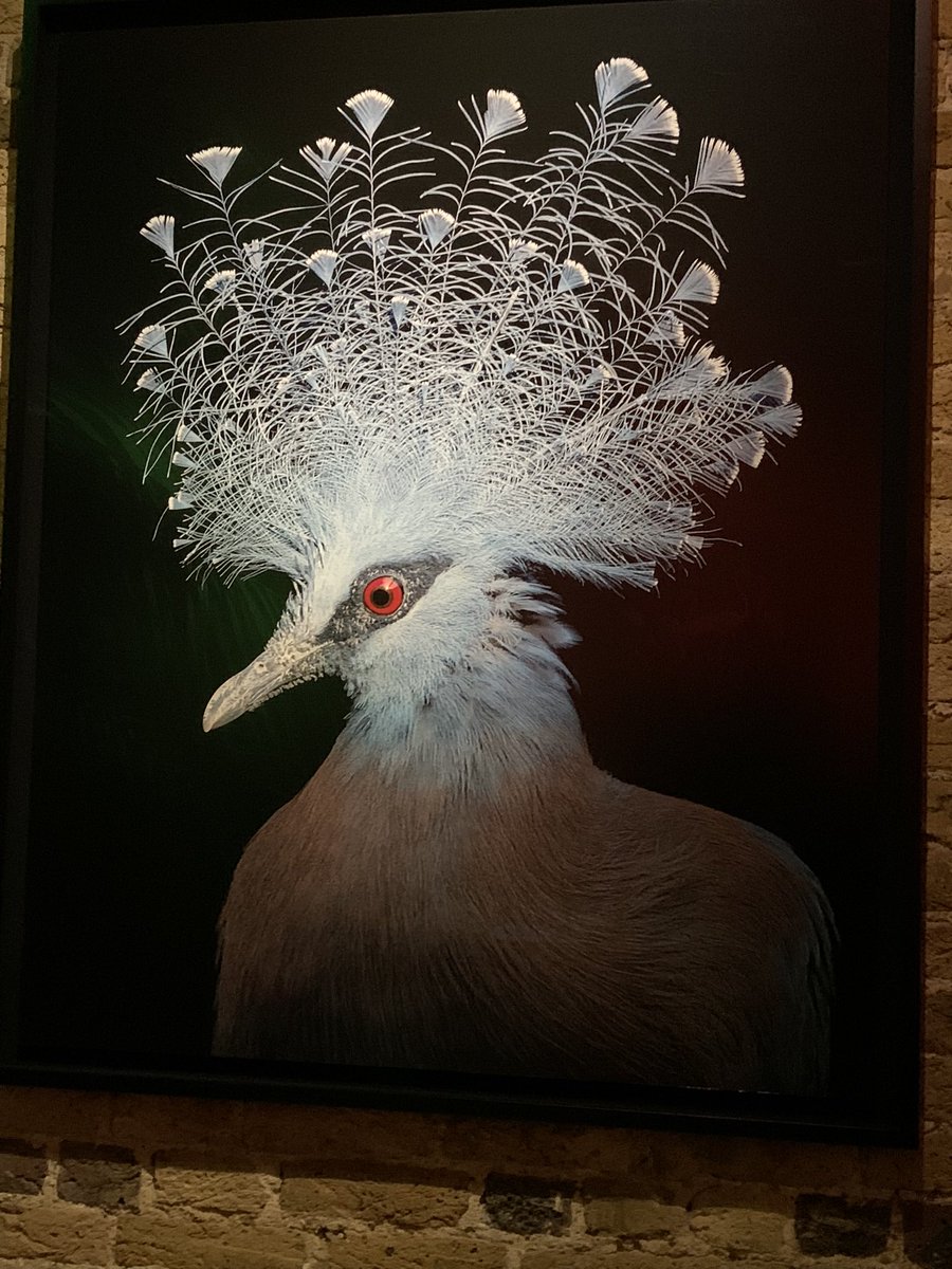 paulinedaniels's tweet photo. Travelled down to my cousins book launch. He’s an amazing photographer. #timflach @TimFlach so proud of him and such fun seeing the family.. https://t.co/GPfB1nWc0q