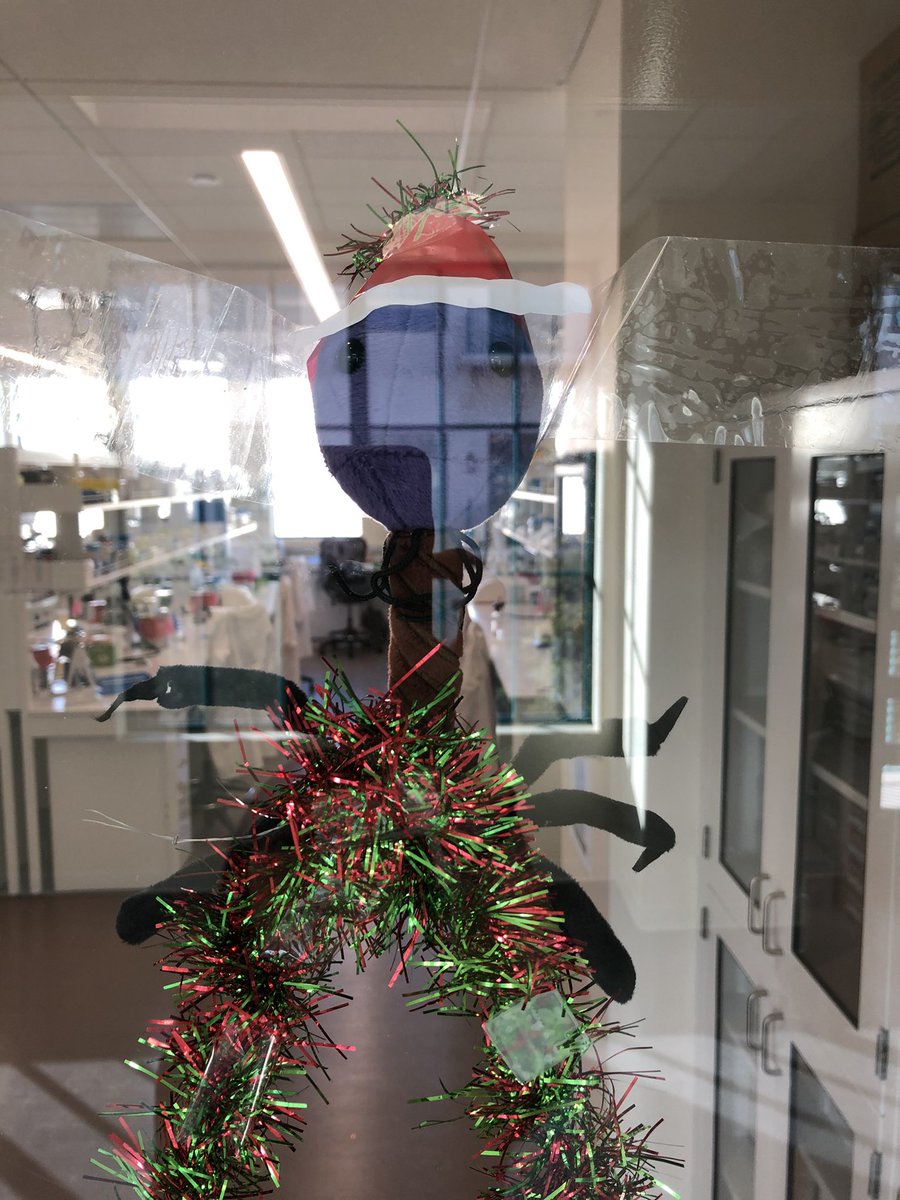 Roach Lab tweet media