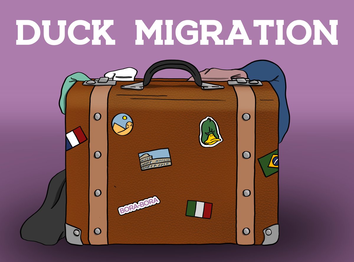 NoncoDucks's tweet photo. What are those mysterious suitcases?
join our discord and find out how to get one!
https://t.co/yE4bXK3TJV https://t.co/RxEpJIWjRv