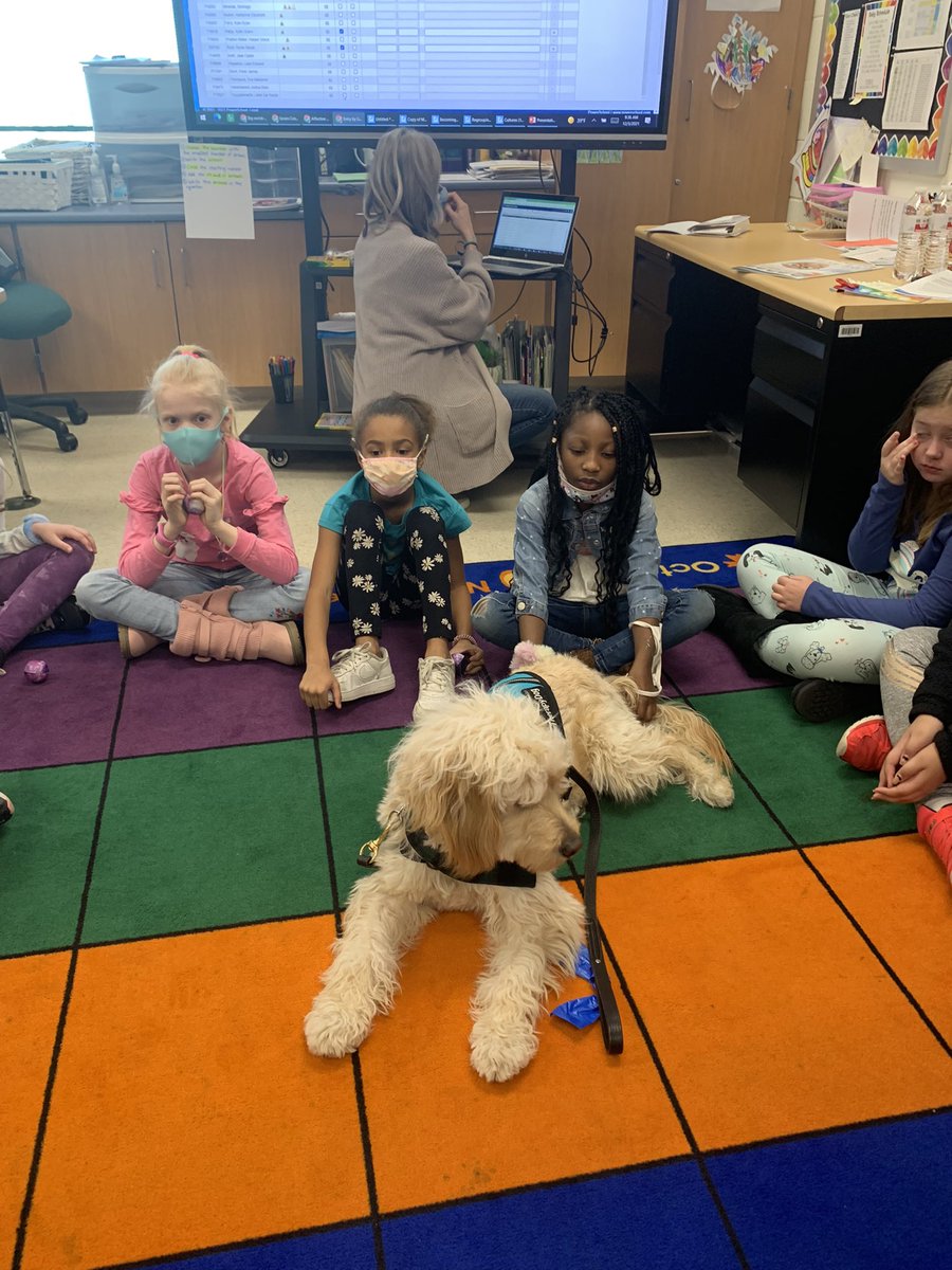 MECC_Counselor2's tweet photo. 2nd grade Ss learned our brain controls our emotions. We have to use our βtoolsβ to regulate our emotions & not flip our lids! #SEL #ClassroomCounselorLessons #SchoolCounselor #Shinerlove #MVP #MostValuablePup @MrsBly_MECC @MasonSchools https://t.co/7E9CtDqRkL