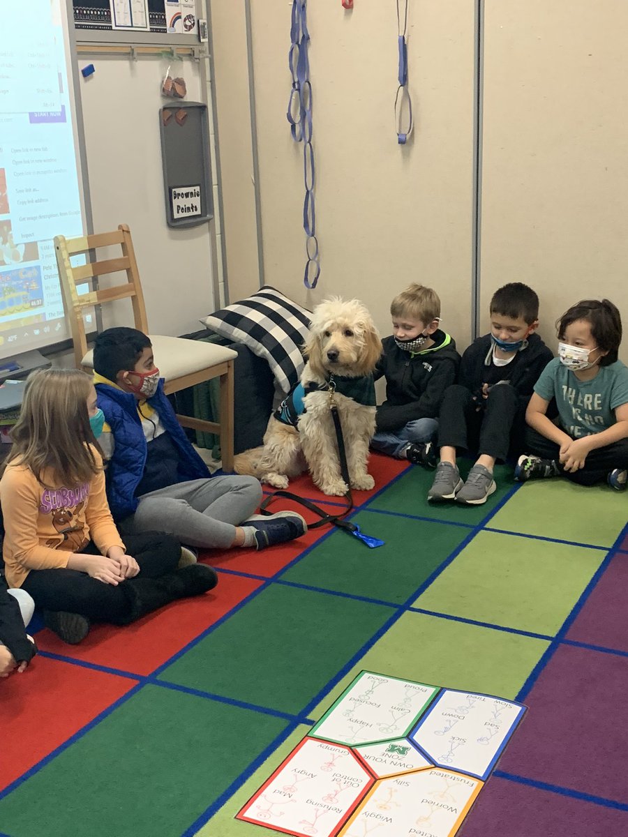 MECC_Counselor2's tweet photo. 2nd grade Ss learned our brain controls our emotions. We have to use our βtoolsβ to regulate our emotions & not flip our lids! #SEL #ClassroomCounselorLessons #SchoolCounselor #Shinerlove #MVP #MostValuablePup @MrsBly_MECC @MasonSchools https://t.co/7E9CtDqRkL