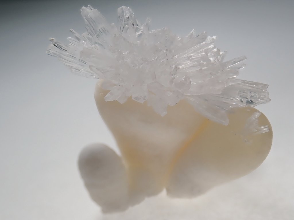 ヒダリ tweet media