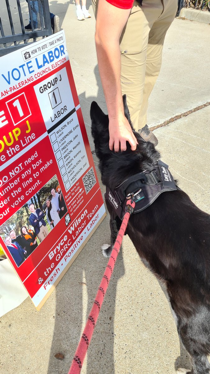 _outRAGEjess's tweet photo. Telling people to vote #Labor and patting #dogs. ❤️🐕
#nsw #nswpol #nswvotes #dogsofpollingstations https://t.co/QMegn401WC
