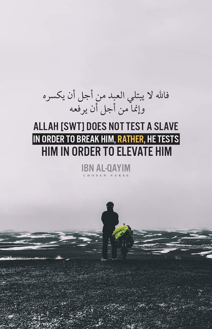 almoshaf_algame's tweet photo. https://t.co/vHmK4PwTkg