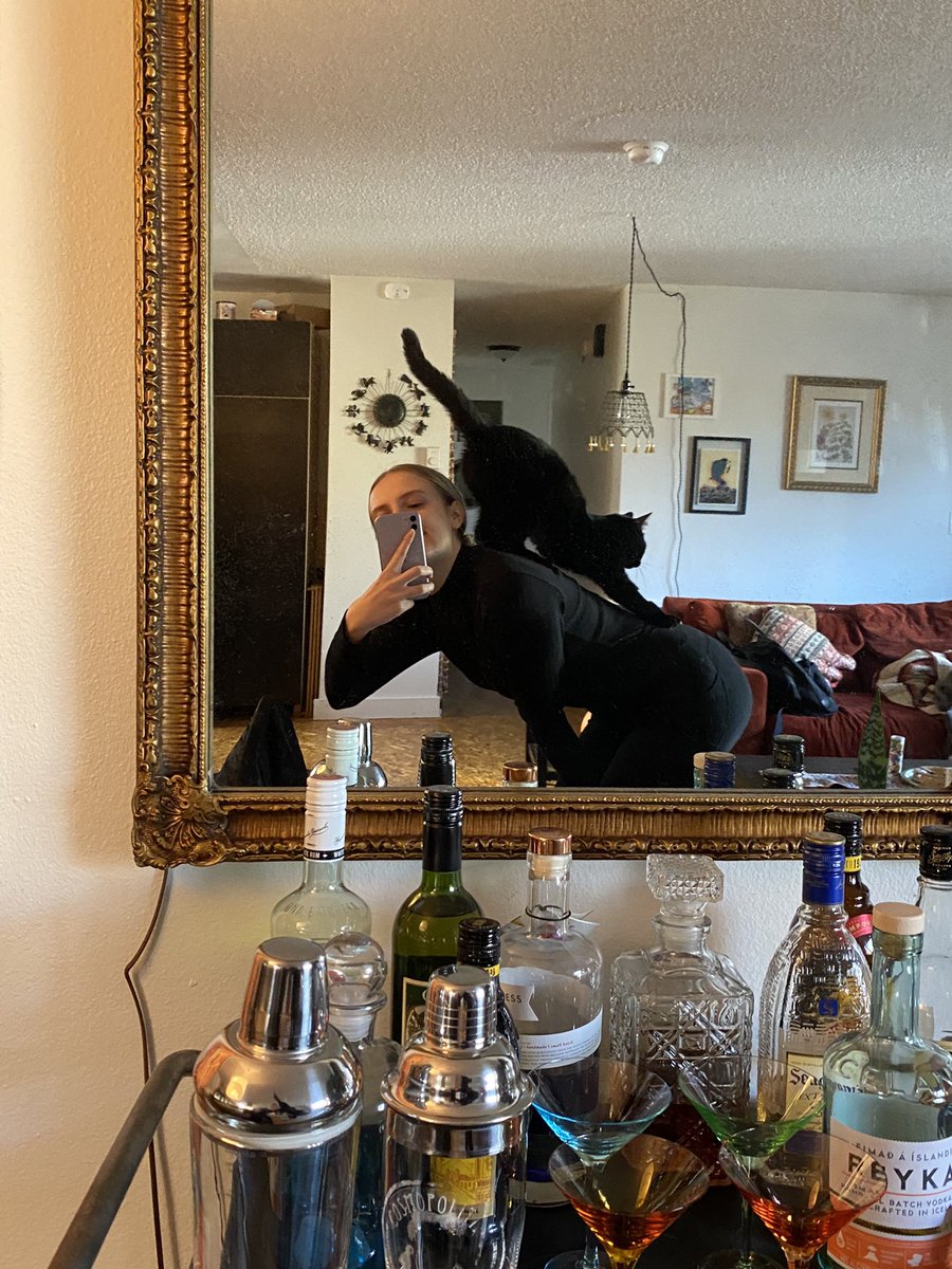spaycie's tweet photo. worst shoulder parrot ever https://t.co/75gQg8MjI6
