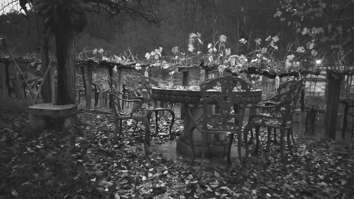 No podemos estar más felices en “nuestro mundo”….te esperamos…y deseamos que te emociones con nosotros…#inviernosencastrobrey…. ….. 😻😻😻😻. ..ワイン #wino #вино #winemaker #lovewine #winelover #subzonadelrioulla #albariño #riasbaixas  #galiciacalidade #vinoblanco