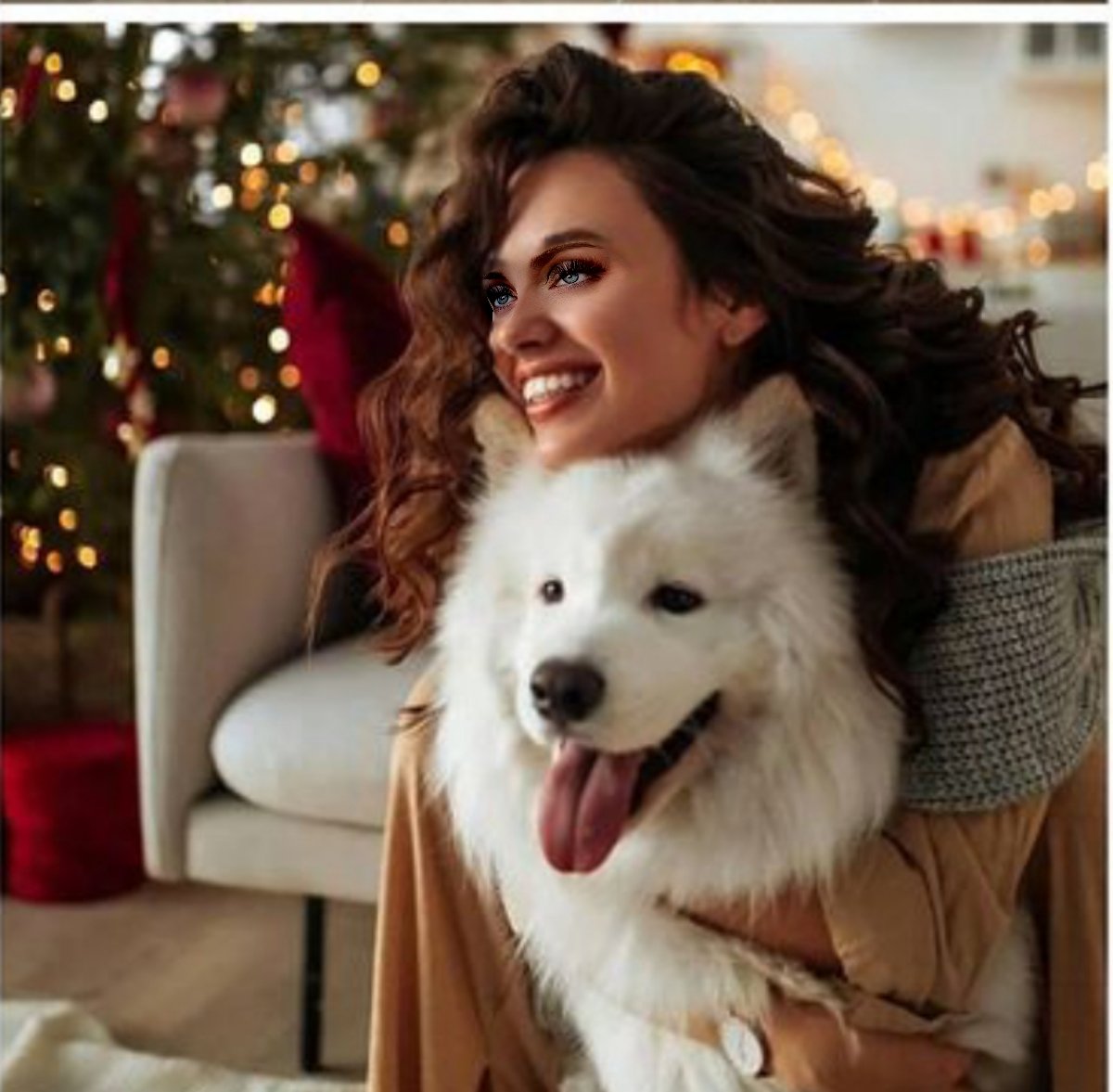 titoom_2005's tweet photo. https://t.co/KB90KguHXq
#cutedogpics #doglover
#cutedogsplanet
#cutedogs
#cutedogsofig #
#goldenlovestories #dogloversfeed #girldogs #girldog #girldoggyshopping #girldogsrule #dogcare #dogcatlove @dogesiss @doggylover503 @_doggirl._ @dog_girls_22 @dog_lovelyy @startdoglove https://t.co/ZvIpdky23S
