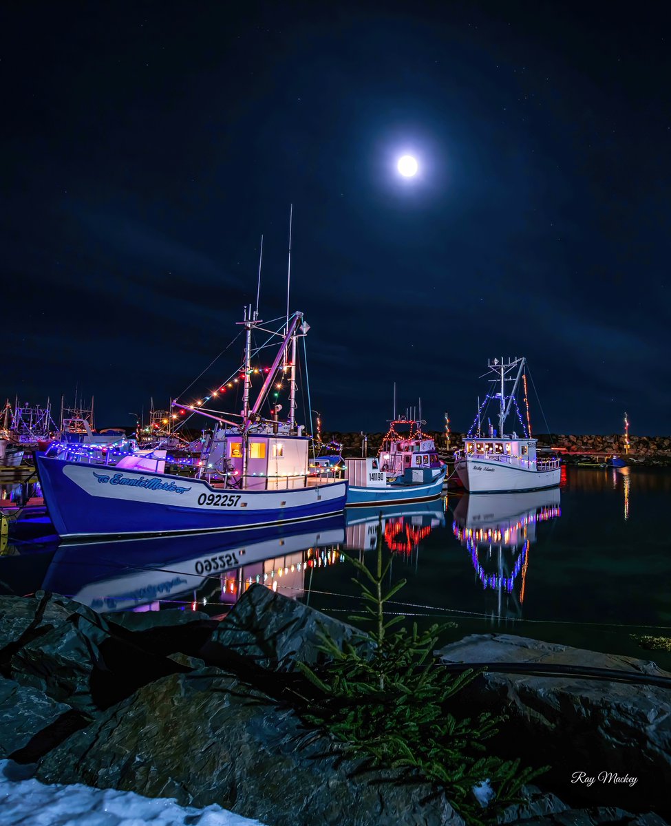 Port de Grave , Newfoundland. Looking forward to this years boat lighting, here is a sample while we wait! #portdegrave #newfoundland #comehome2022 #boatlighting #explorenl #canada #explorecanada Happy Friday evening everyone!