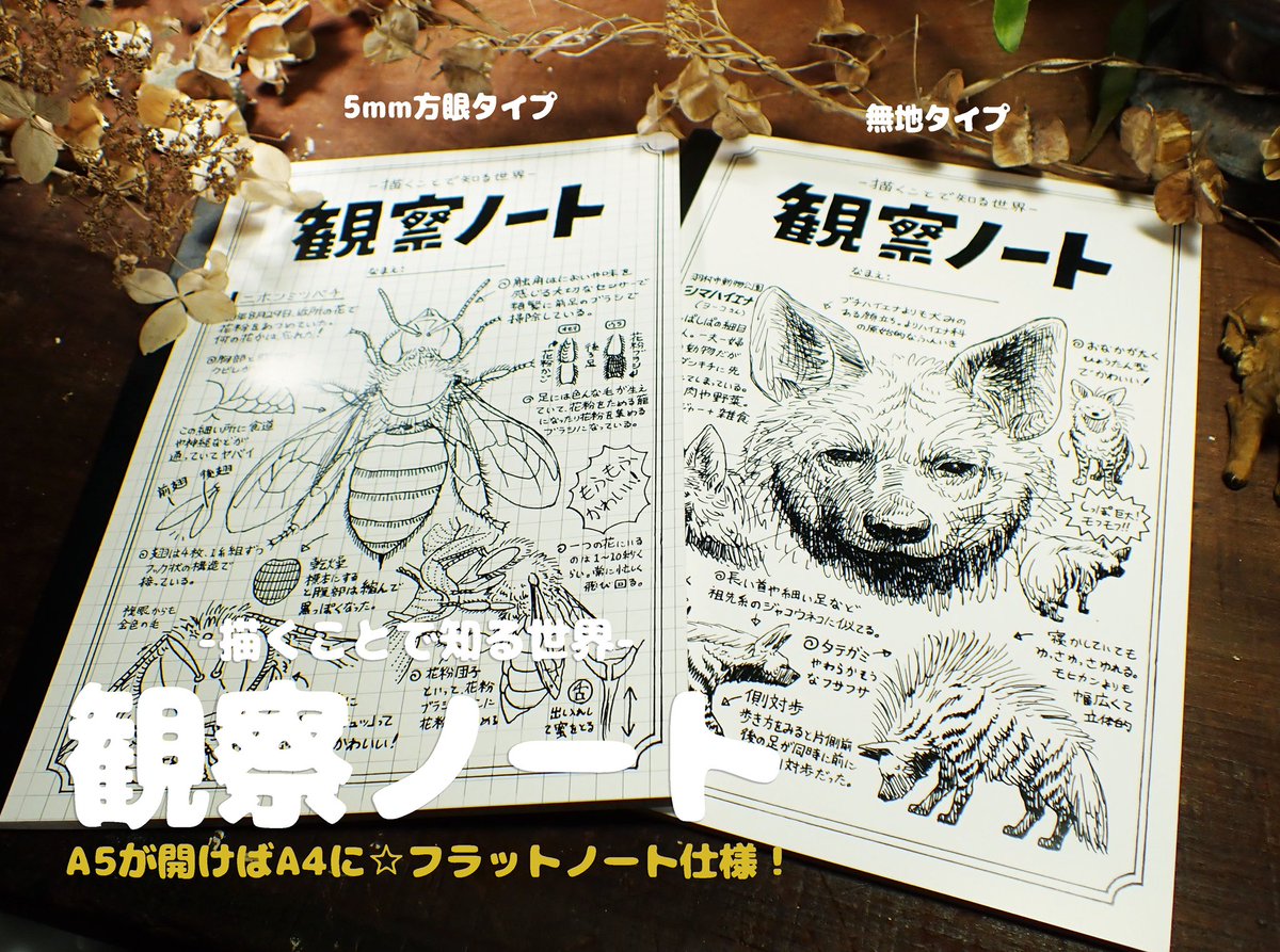 【お品書き④】
絵は対象を知るための観察手段として優秀にも程があるのに何故か知られていないので、観察スケッチ用の #観察ノート を作りました!持ち運びやすいA5サイズで、ページ間に段のできないフラットノート。無地と5mm方眼の2タイプ📖
https://t.co/nR7YuikCUV
#いえもにあ2 #いえもにあ2021 