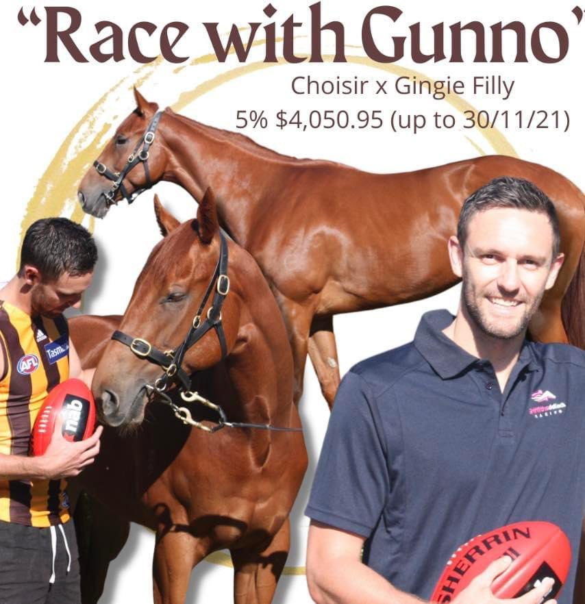 GriffithsRacing's tweet photo. “RACE WITH GUNNO” 

Join @jackgunston in racing our beautiful Choisir x Gingie Filly. 

Currently in full training. 

Shares start at $4,050.95 

As a bonus anyone who purchases before the 23rd December 2021 will receive a @HawthornFC merch pack! 😮 

Call 0439 912 370 https://t.co/Zm0pHRnsP8