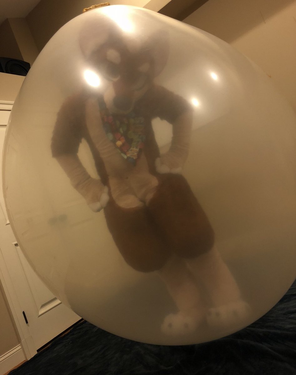 SqueakyKerberos's tweet photo. Mentally, I am still inside this massive balloon.

#FursuitFriday https://t.co/IAUAkjKYZM