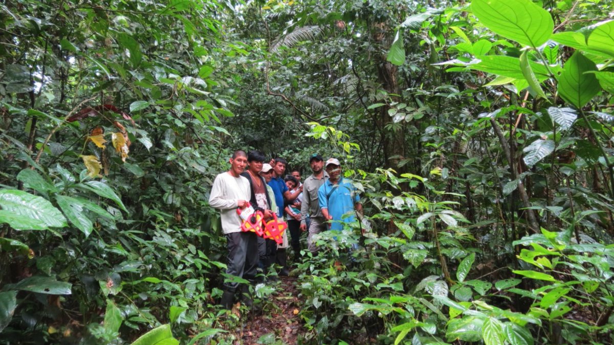 FAOEcuador's tweet photo. Culminamos el proceso de fortalecimiento de capacidades sobre #MonitoreoComunitario 🌳 en 17 comunidades de la Amazonía. Durante 3 meses, en coordinación con @Ambiente_Ec, equipo técnico de @FAOEcuador desarrollaron  jornadas de capacitación con guardabosques comunitarios https://t.co/B7CN7zTiZT