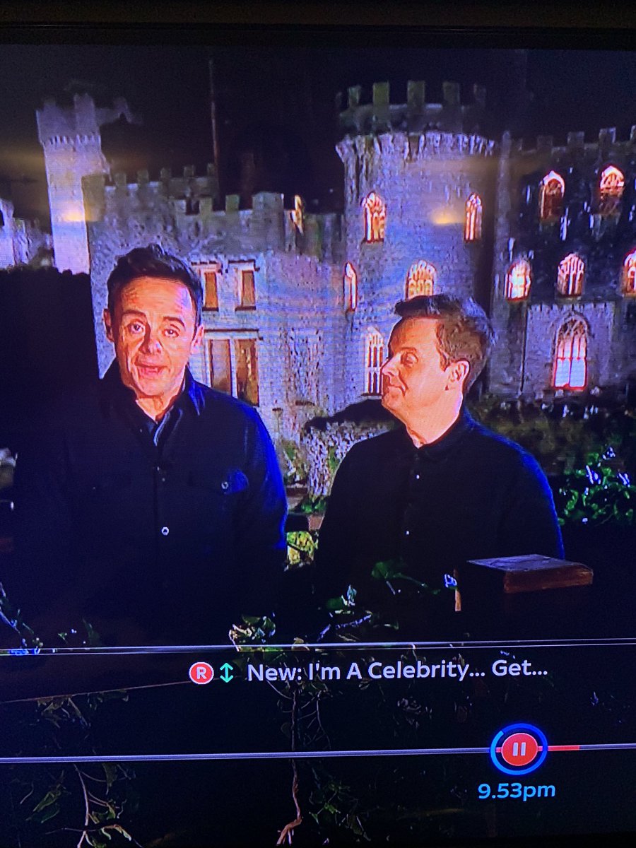 BethMoseley1's tweet photo. Look at that for a pause😂 @antanddec @imacelebrity https://t.co/UsRGEkfak1
