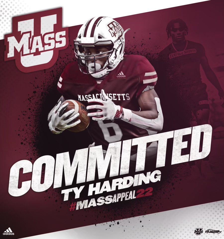 Ty Harding tweet media