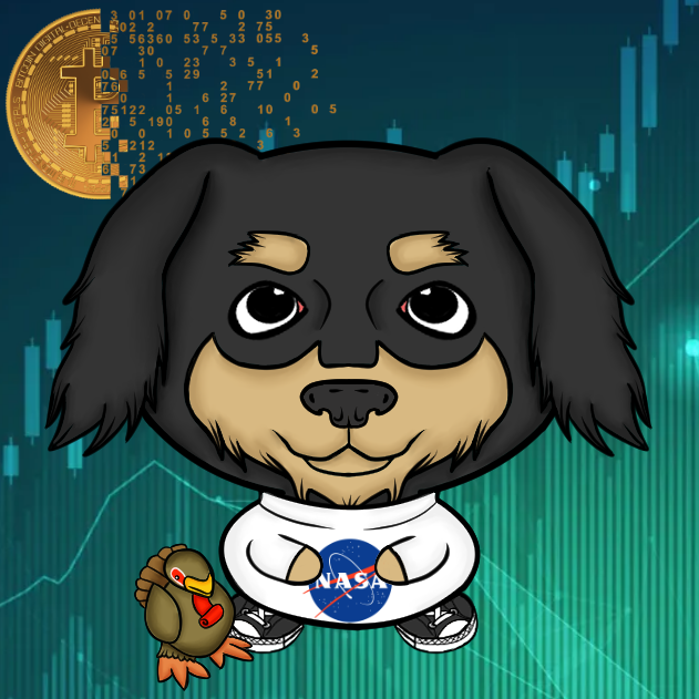 diamondsoldogs's tweet photo. Our honoraries will start with the people that brought us into Crypto from the mainstream. Before we got into NFTs. 

So the first one is for @finallyx who's content turned one of our founders from a normie to an anon 

Keep it up Rachel 🚀 https://t.co/bsjIKiNZPJ