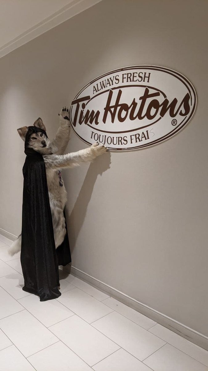 MysticSoulWolf's tweet photo. Mornings at @CanFurence were brought to you by @TimHortons. #CFBiT #FursuitFriday
๐ทby @prplhaze https://t.co/23Qkd51mMg
