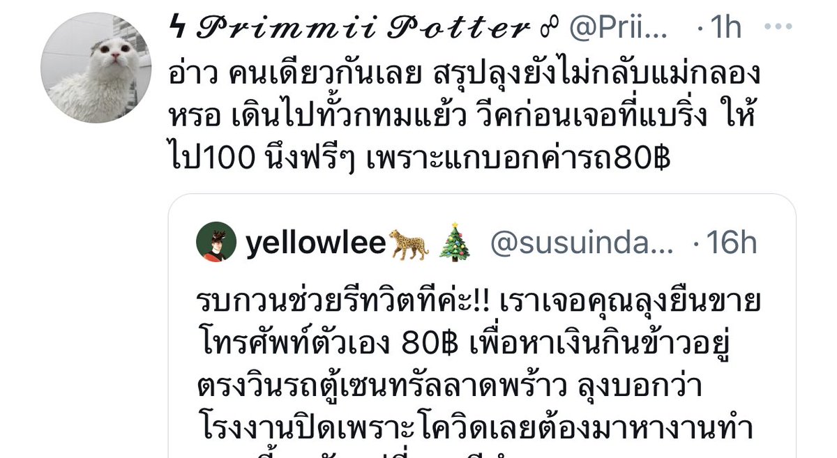 ม้าว 🐶 tweet media