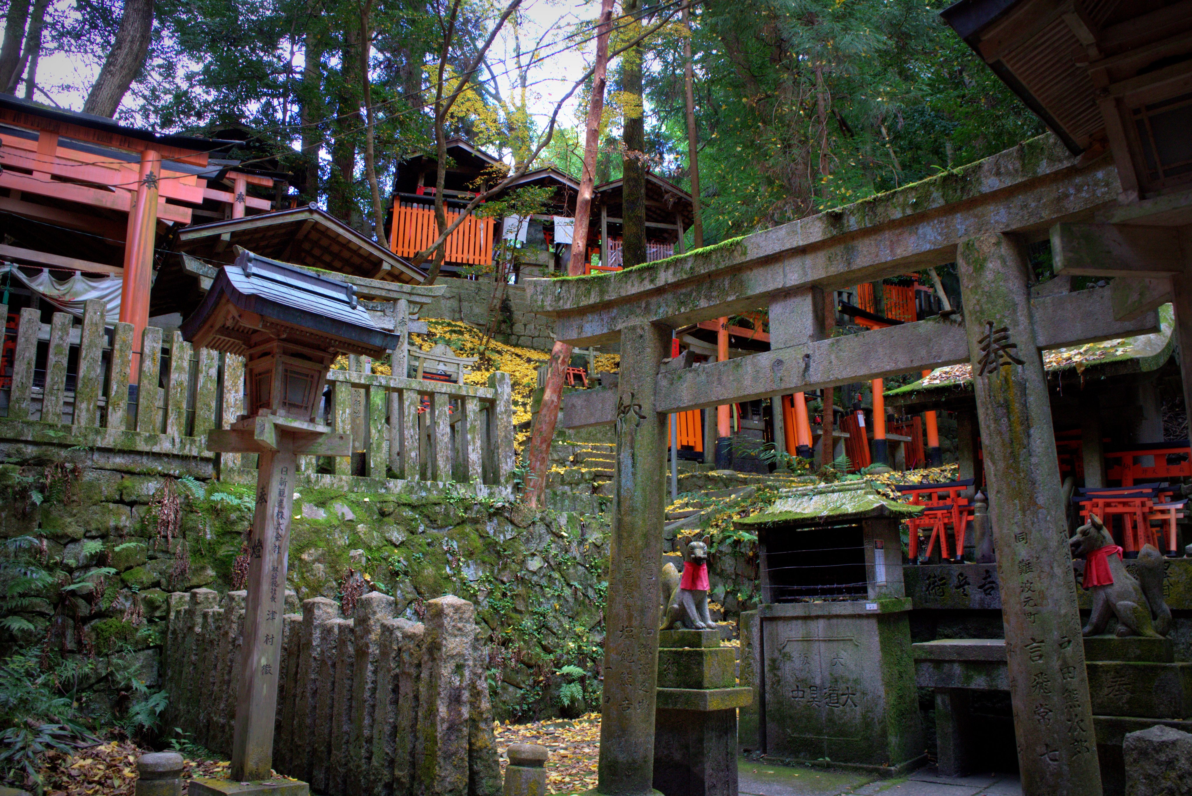 かおり Kaokao07 Twitter