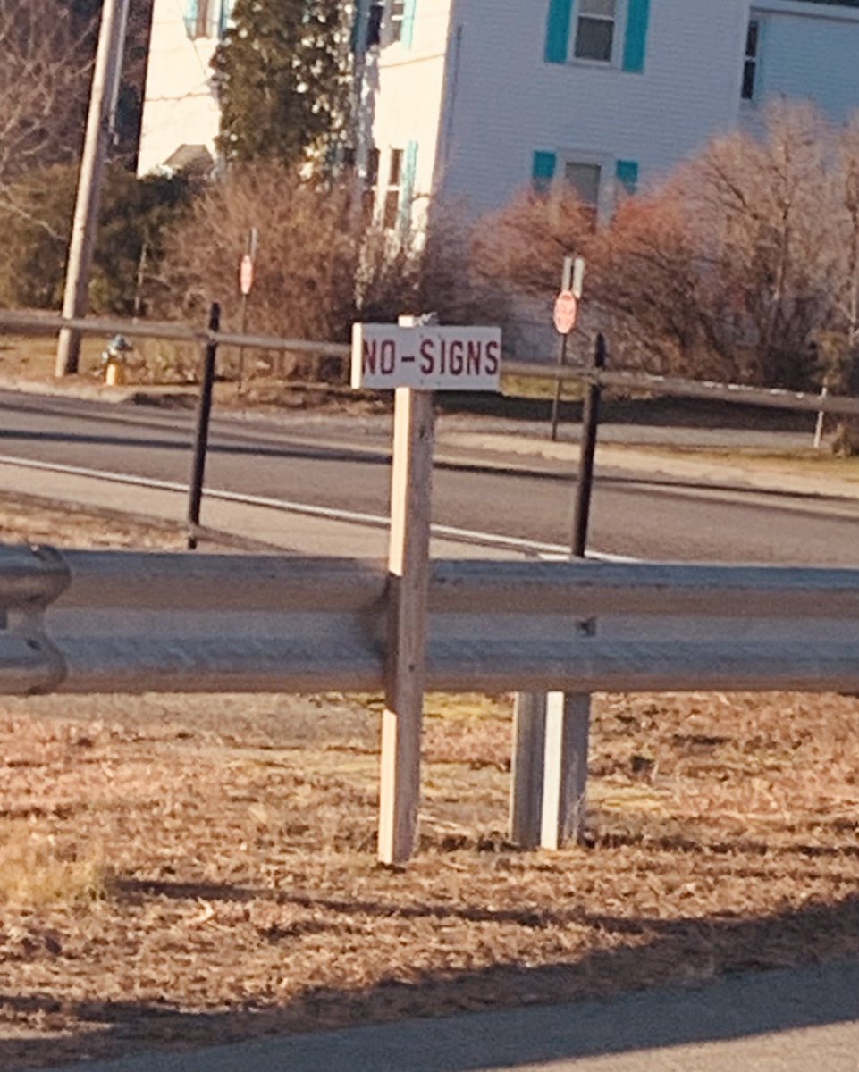 BrenCavanaugh's tweet photo. A sign denoting “no signs” #signage #ironicsigns https://t.co/bTrgwT4DJ5