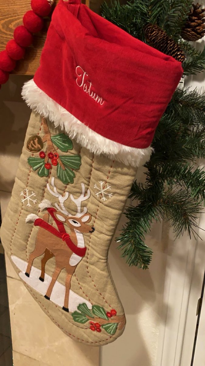 Damien Fatongia tweet media