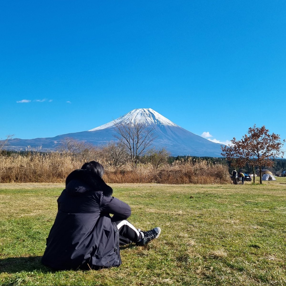 GiggukAZ's tweet photo. Rare footage of me touching grass. https://t.co/JR65srAfjQ