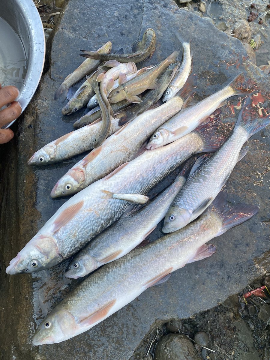 आउनुस  है सुप खाने भए !!
😎🥰