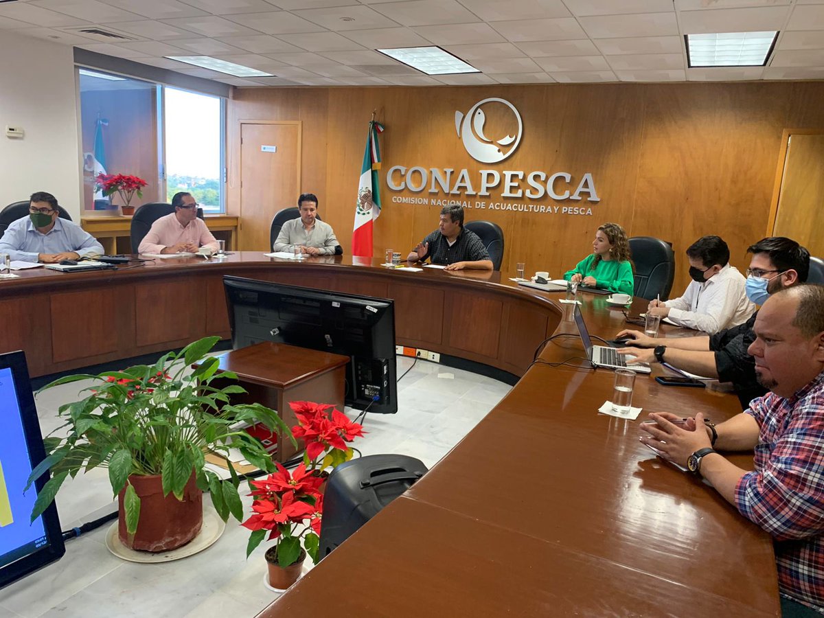 OctavioAlmada1's tweet photo. En reunión con el equipo, planeando las actividades del mes de diciembre y principios de enero. 

Que tengan un excelente fin de semana. 

#BuscandoElComoSí https://t.co/zYmYwzF3aJ