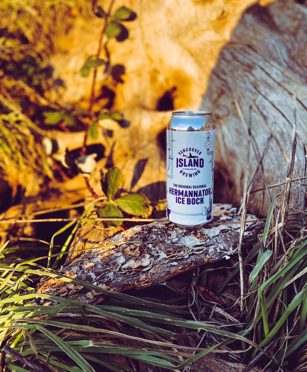 WestCoastLiquor (@wc_liquor) on Twitter photo It’s back!!!! <a href="/vibrewing/">Vancouver Island Brewing</a> #icebock
Available in single cans at our Fraser location. It’s back!!!! <a href="/vibrewing/">Vancouver Island Brewing</a> #icebock
Available in single cans at our Fraser location.