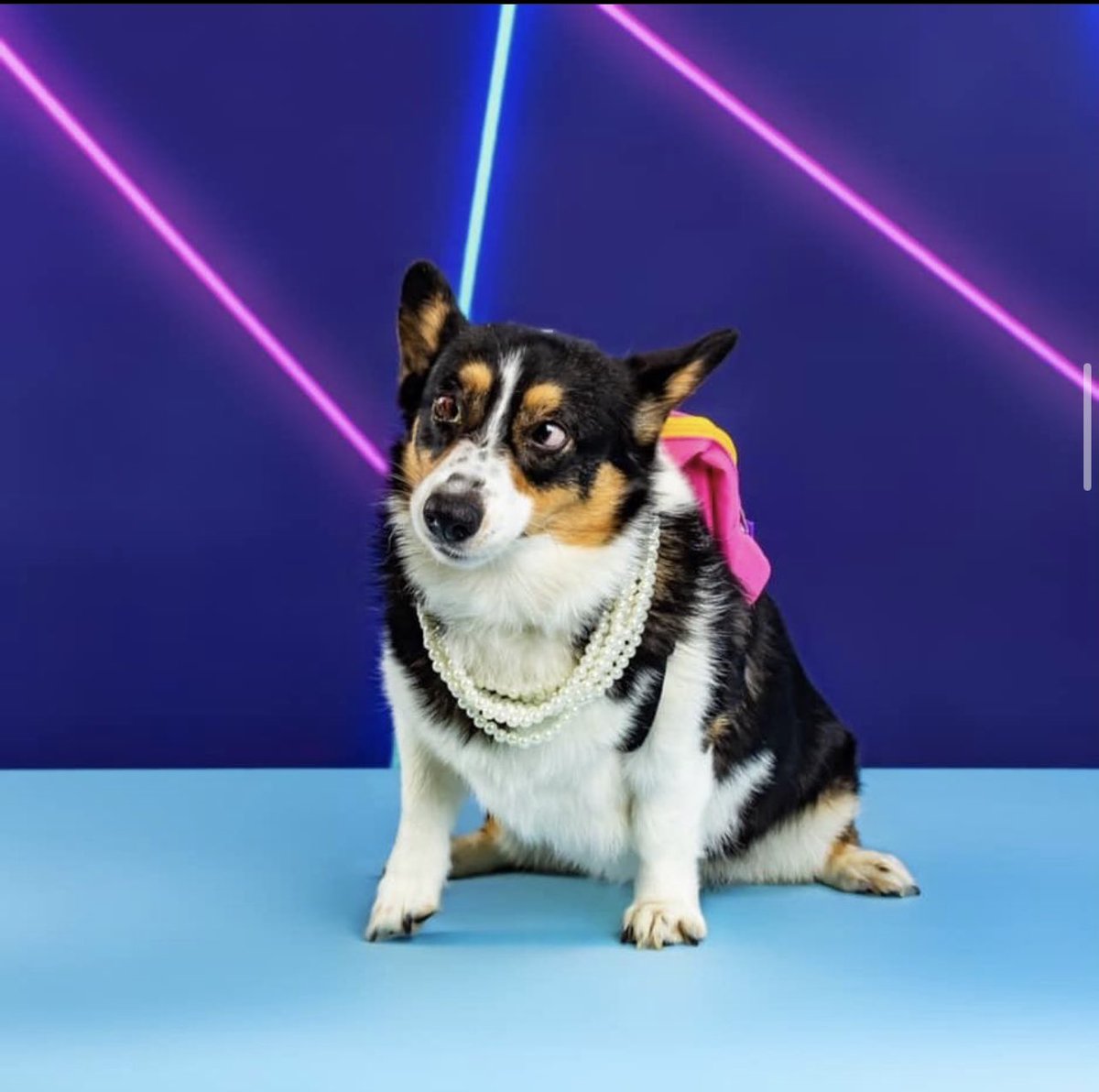 Reverend Winston tweet media