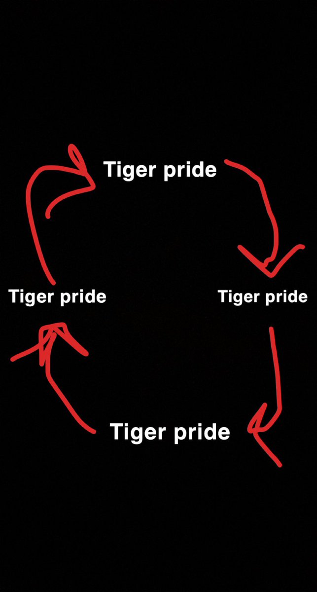 I have drawn this diagram to represent my mental cycle