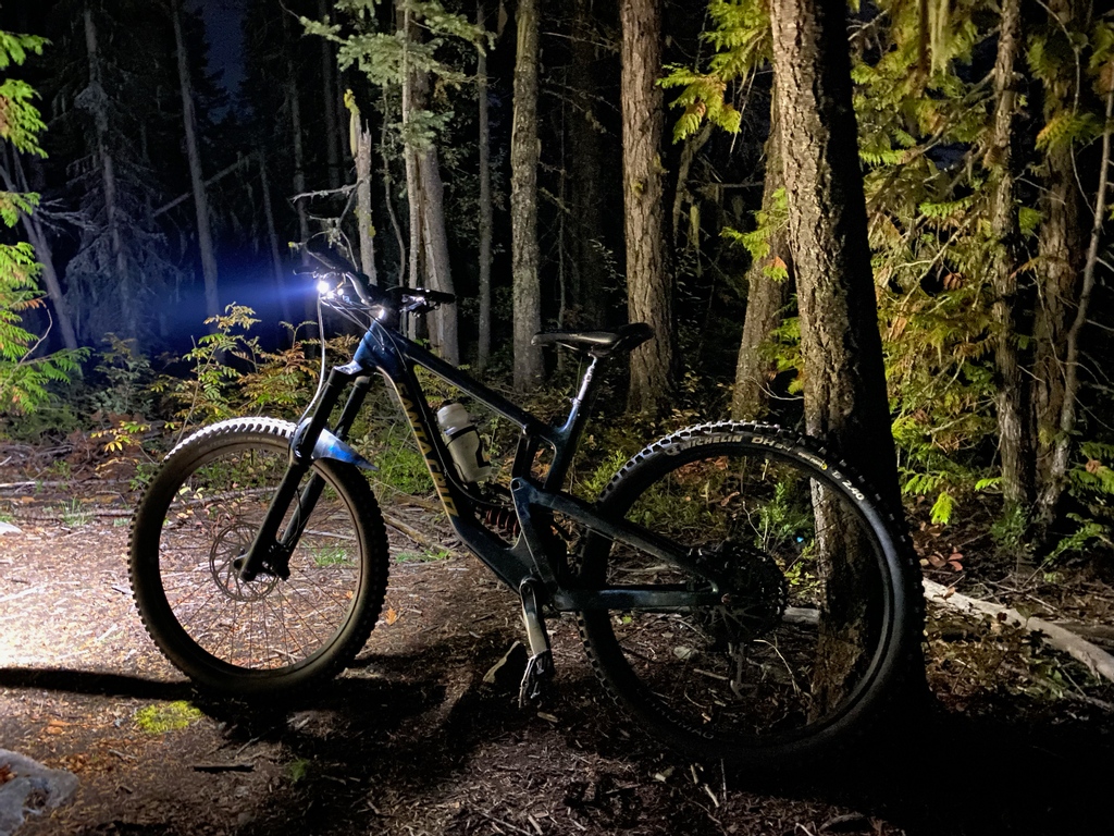 MagicshineL's tweet photo. Some stock photos of Sep. Time for a forest ride again and have a chance to see some wildlife π
@tay_jclark
https://t.co/tqPgj0RgcE
#magicshine #rn3000β
#forest #cyclinglife #bike #roadbike #bikelife #roadcycling #cycle #mtblife #singletrack #mtblove https://t.co/vDNqUaUQbg