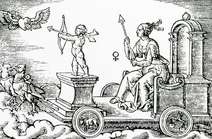 Spermacus NFT tweet media