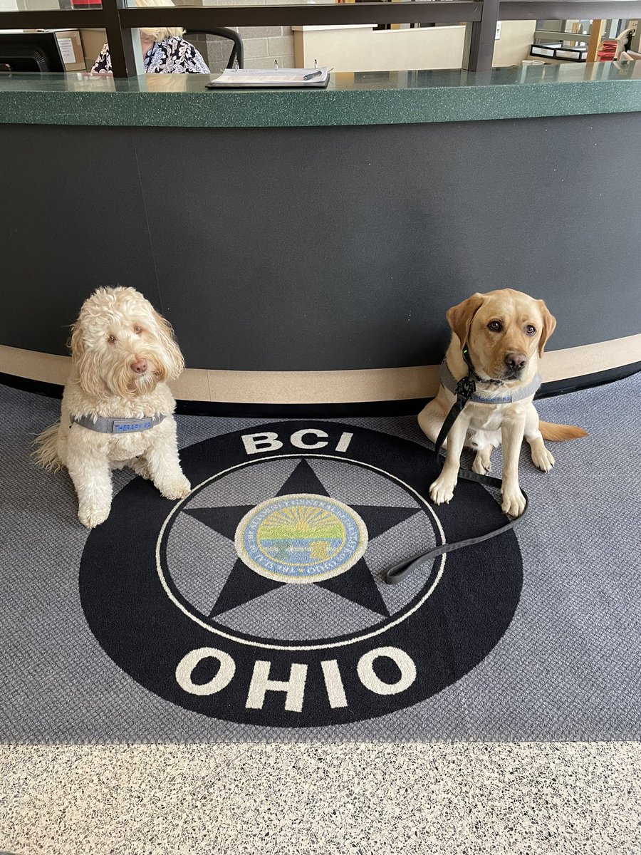 FCSO Crisis K9 tweet media