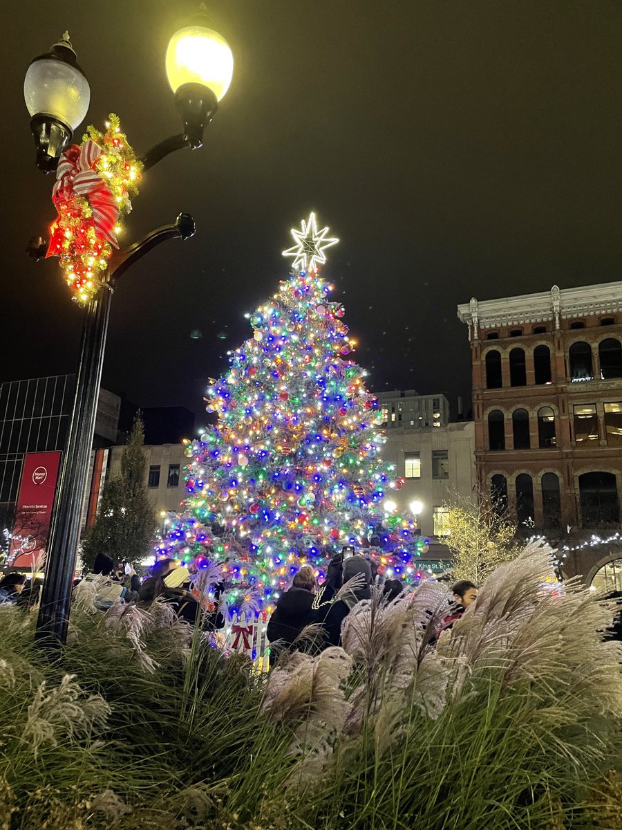AllinPlace_Comm's tweet photo. It’s Christmas in #HamOnt 🎄🎄🎄 https://t.co/U69cl2WLdx