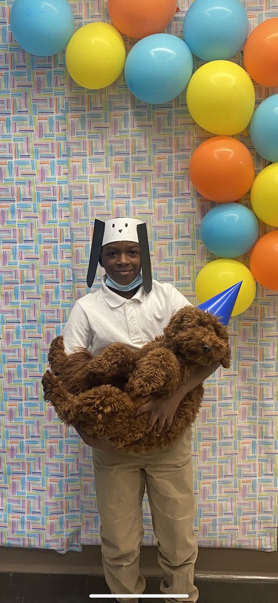 KCPS_Knotts's tweet photo. For November’s positive behavior party, we celebrated our one and only therapy dood, Solomon! Students decorated cookies, had popcorn, watched a movie, and took photos with Solomon! Talk about a fun Friday! https://t.co/D60BNPZYBD