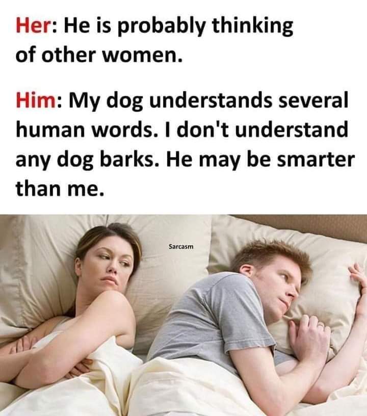 memescentrai's tweet photo. And they said humans are the smartest creatures..... https://t.co/DSWm3BzhqG