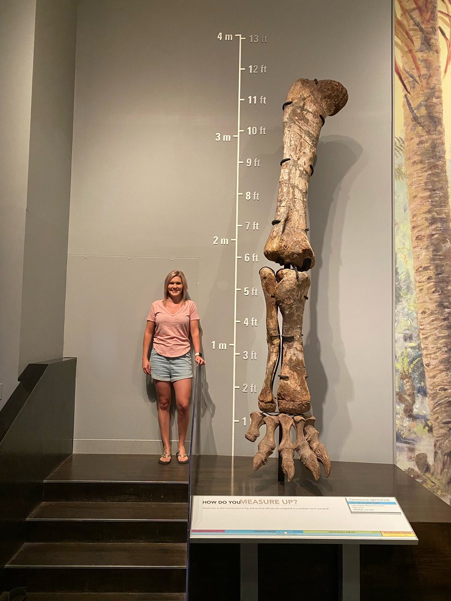 Patrycia💡 tweet media