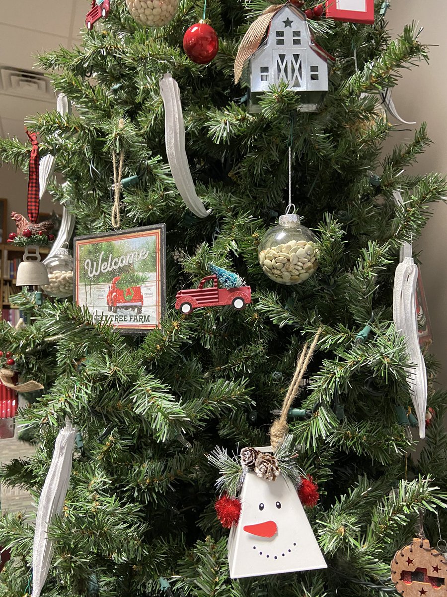 RealLifeSheri's tweet photo. Decorated a tree at our local library sponsored by our farm and used dried okra (the white things) and dried beans in glass ornaments and I actually like how it turned out! #forgottenfarm #favoritethings https://t.co/VfAcGEKRoj