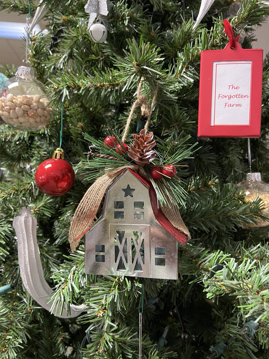 RealLifeSheri's tweet photo. Decorated a tree at our local library sponsored by our farm and used dried okra (the white things) and dried beans in glass ornaments and I actually like how it turned out! #forgottenfarm #favoritethings https://t.co/VfAcGEKRoj
