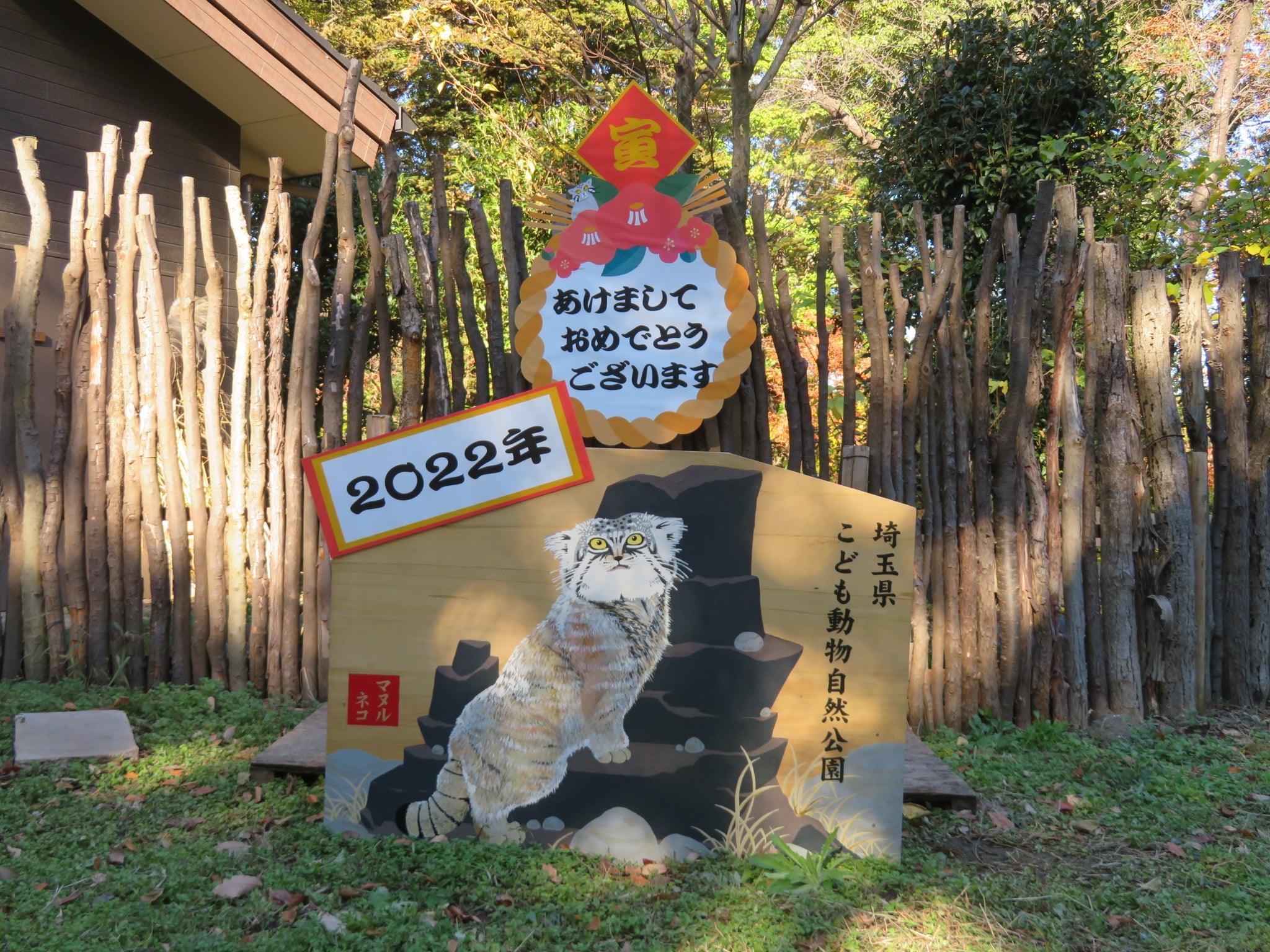 埼玉県こども動物自然公園 公式 おはようございます みなさん年賀状の準備は進んでいますか 毎年恒例の年賀状撮影スポットが登場 来年は寅年 こども動物自然公園ではトラがいないので マヌルネコが主役です Ecoハウチューに設置しているので 埼玉県こども動物自然公園 公式 おはようございます みなさん年賀状の準備は進んでいますか 毎年恒例の年賀状撮影スポットが登場 来年は寅年 こども動物自然公園ではトラがいないので マヌルネコが主役です Ecoハウチューに設置しているので