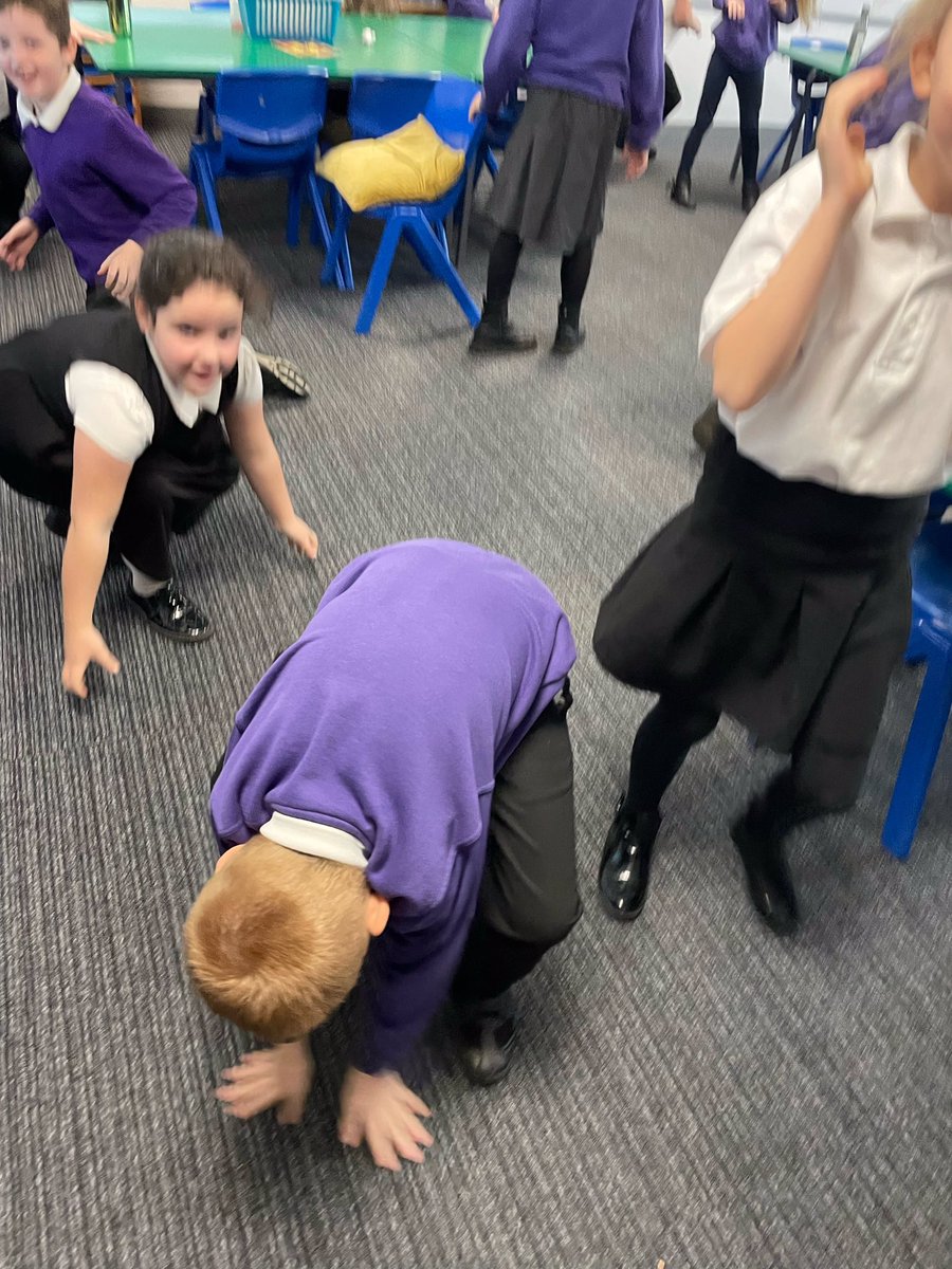 LaceyField PE tweet media