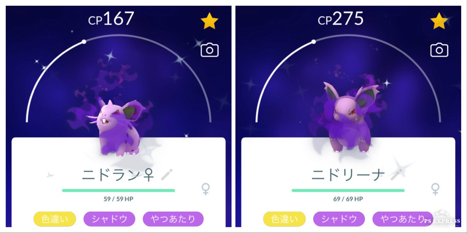 白うさぎ 早朝 目が覚めて ポケモンgoを開いたら気球でシエラ姉さんが シャドウの色違いを残して去って行きました ニドリーナの表情が好きだから 進化はここで止めておこうかなぁ 夜中に起きて 何か珍しいポケモンいるかな ってポケモンgoを開く