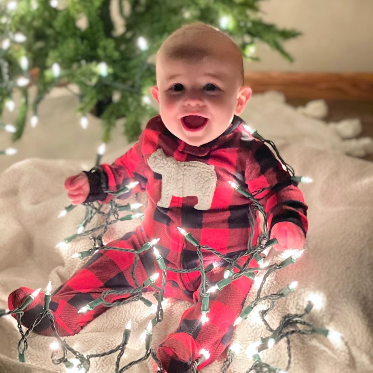 NathanSchultz79's tweet photo. Mom decided to do a little Christmas photo shoot 😍🎄⛄🎅❄️ #DaltonThomas @jlschoch https://t.co/Cw0sRRjKTs
