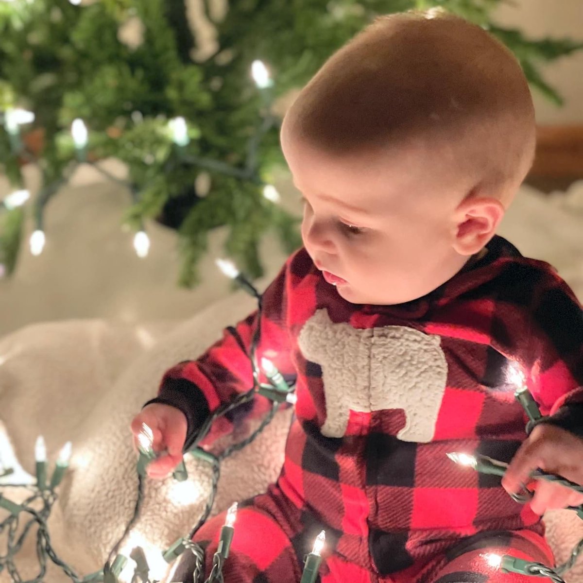 NathanSchultz79's tweet photo. Mom decided to do a little Christmas photo shoot 😍🎄⛄🎅❄️ #DaltonThomas @jlschoch https://t.co/Cw0sRRjKTs