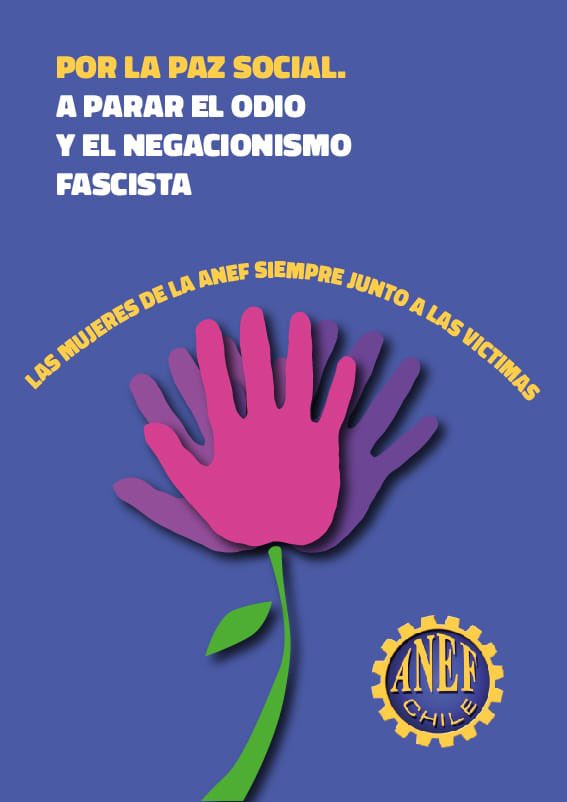 ANEF (@anefchile) on Twitter photo 